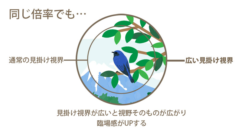 双眼鏡の見掛け視界