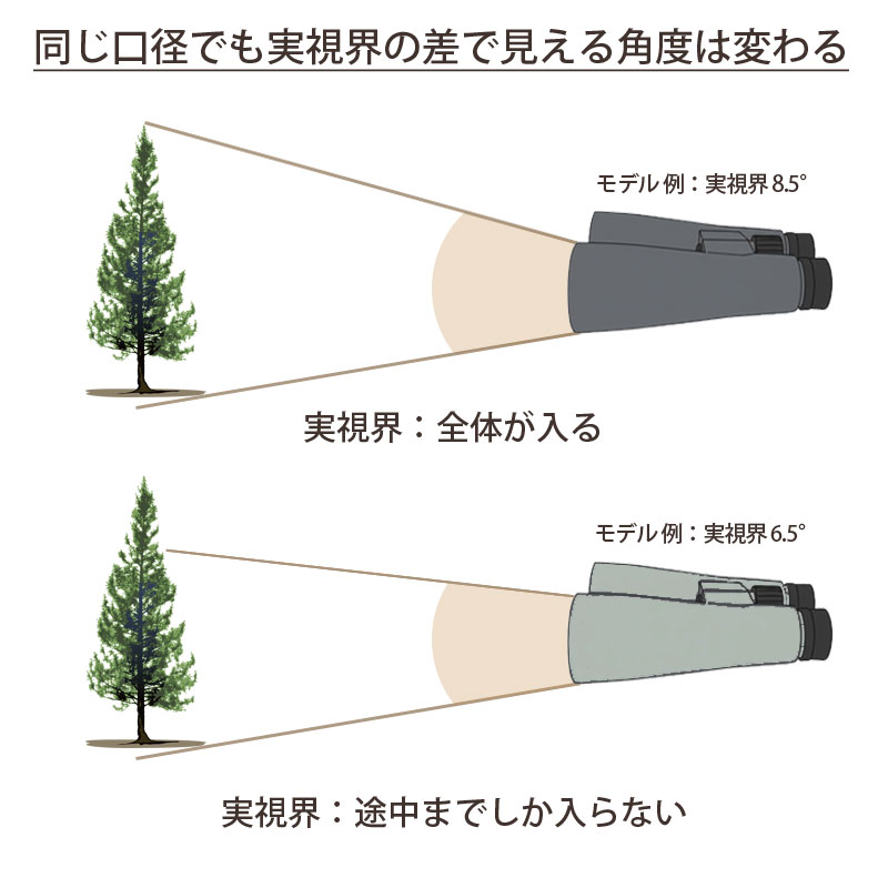 双眼鏡の実視界