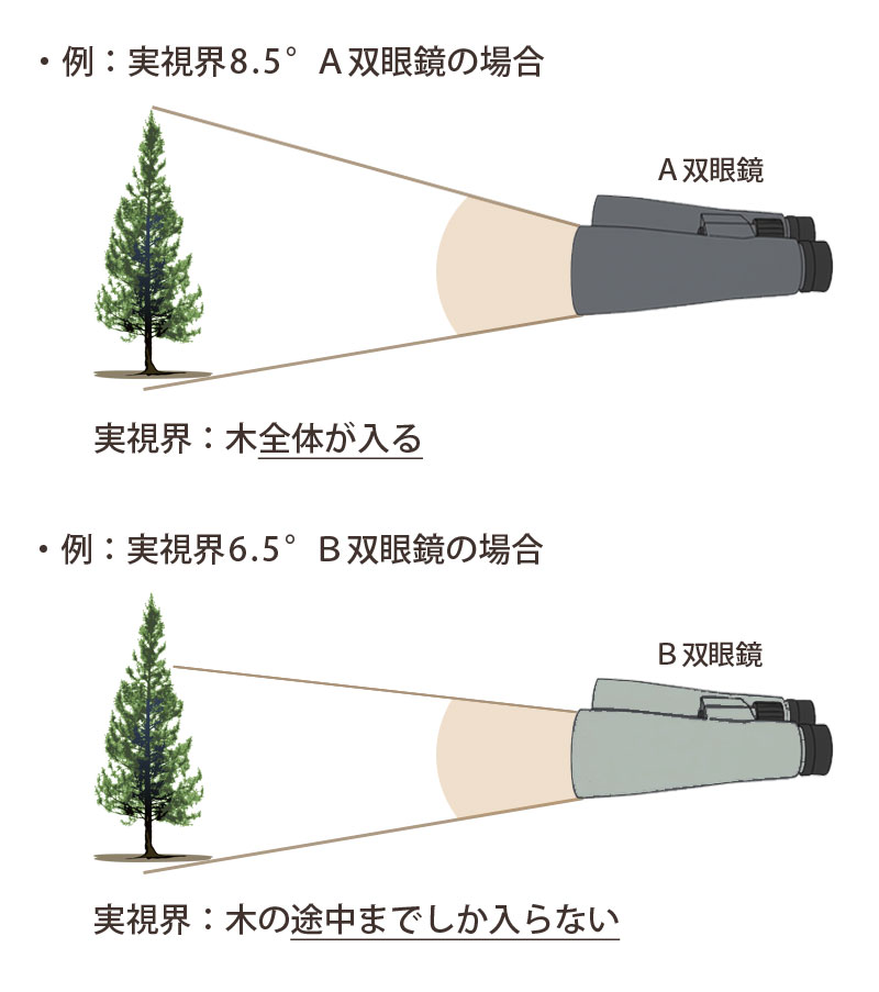 双眼鏡でいう「実視界」とは